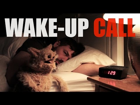 this-cat-is-ned-episode-6,-wake-up-call