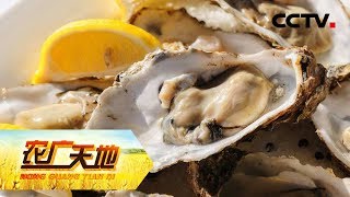 Download 《农广天地》 冬至到清明 蚝肉肥晶晶:蚝哥的蚝做法 20190606 | Cctv农业 Video MP3 《农广天地》 冬至到清明 蚝肉肥晶晶:蚝哥的蚝做法 20190606 | Cctv农业