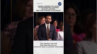 Federal Funding Cut Leaves 25 000 Immigrant Children Without Lawyers New York Pledges 7 25M Relief
