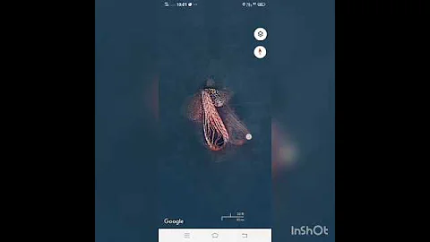 found this in google maps a sea monster - DayDayNews