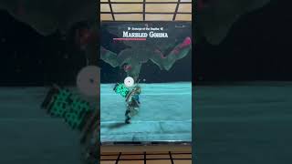 Was I able to Kill all Temple Bosses🥶|Watch full video on my Channel 🔥 | # legend of zelda: TOTK🤴