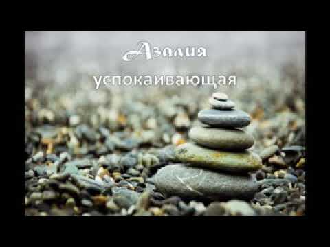 Video: Митя аты эмнени билдирет?