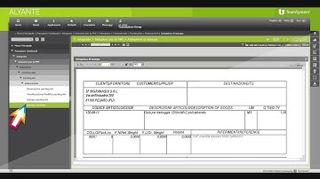 ALYANTE -  Area Magazzino : Packing List