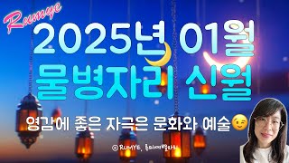 (루미예별자리) 2025년 01월 ♒️ 물병자리 신월 | 영감에 좋은 자극은 문화와 예술 01/29 Aqua…