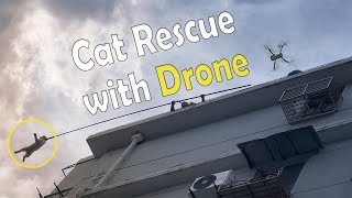Save a Cat Trapped on Rooftop for 3 Days | Rescue with Drone