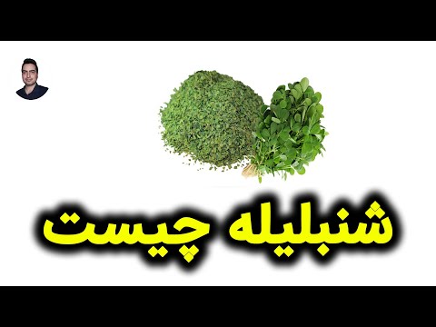 شنبلیله چیست