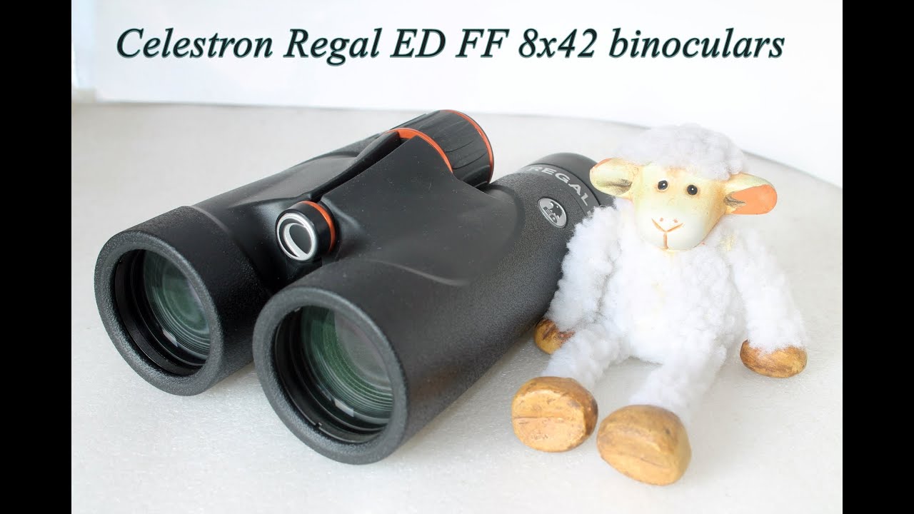 Celestron Regal ED 8x42 FF binoculars review YouTube