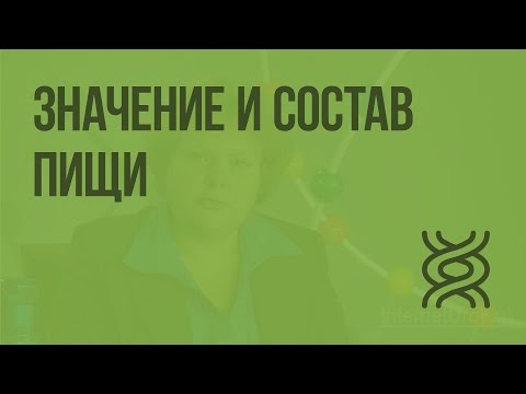 Значение и состав пищи. Видеоурок по биологии 8 класс