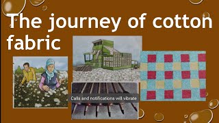 The journey of cotton fabric class 6,  cotton fibres , fibre to fabric, field to fabric