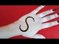 S alphabet mehndi design tricks      raveenas mehndi