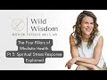 The Four Pillars of Wholistic Health Pt 3: Spiritual Stress Response Explained | Dr. Patricia Mills