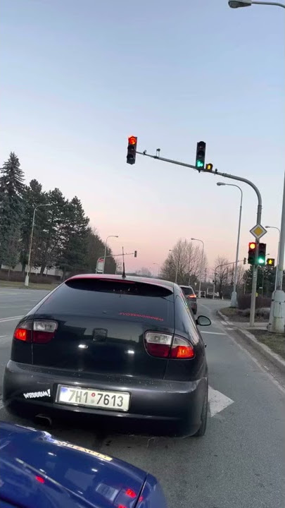 Seat leon 1.9 tdi acceleration