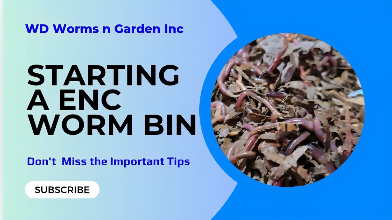Советы по запуску вермикомпостного червячного контейнера
