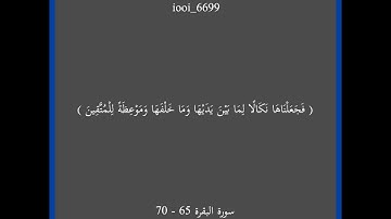 سورة البقرة 65 - 70🫀🎧