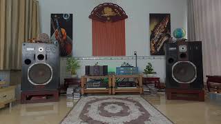 Marklevinson cd 390S, Ksa100S, Fx1. Terry Evans blues