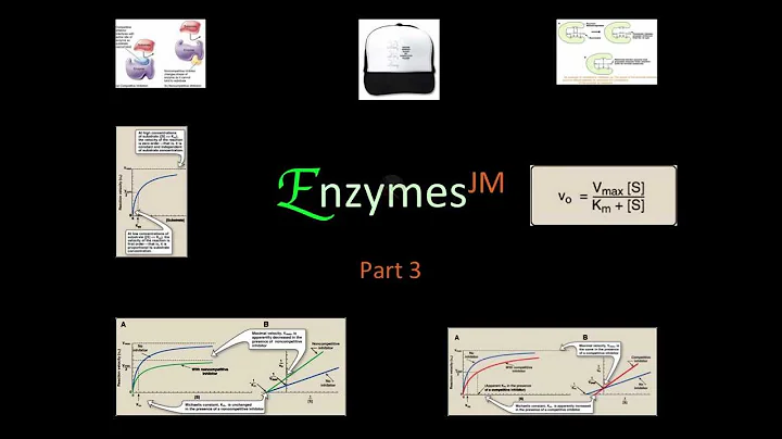 Enzymes 3 JM .mov