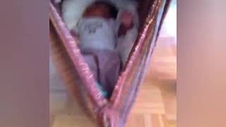 Ayal Paadi Maalikaiyil Songs