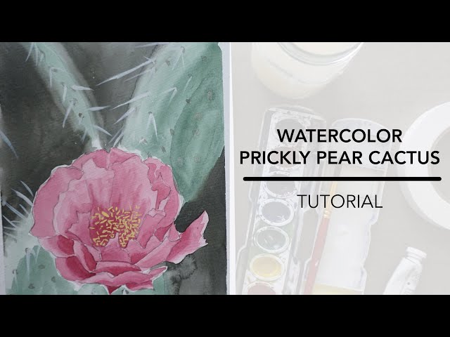 How to Draw and Paint a Prickly Pear Cactus Flower in Watercolor