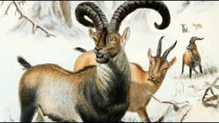 De-extinction | Wikipedia audio article