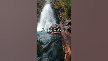 واتس اب قران كريم القارئ ياسر دوسري (سوره ال عمران)