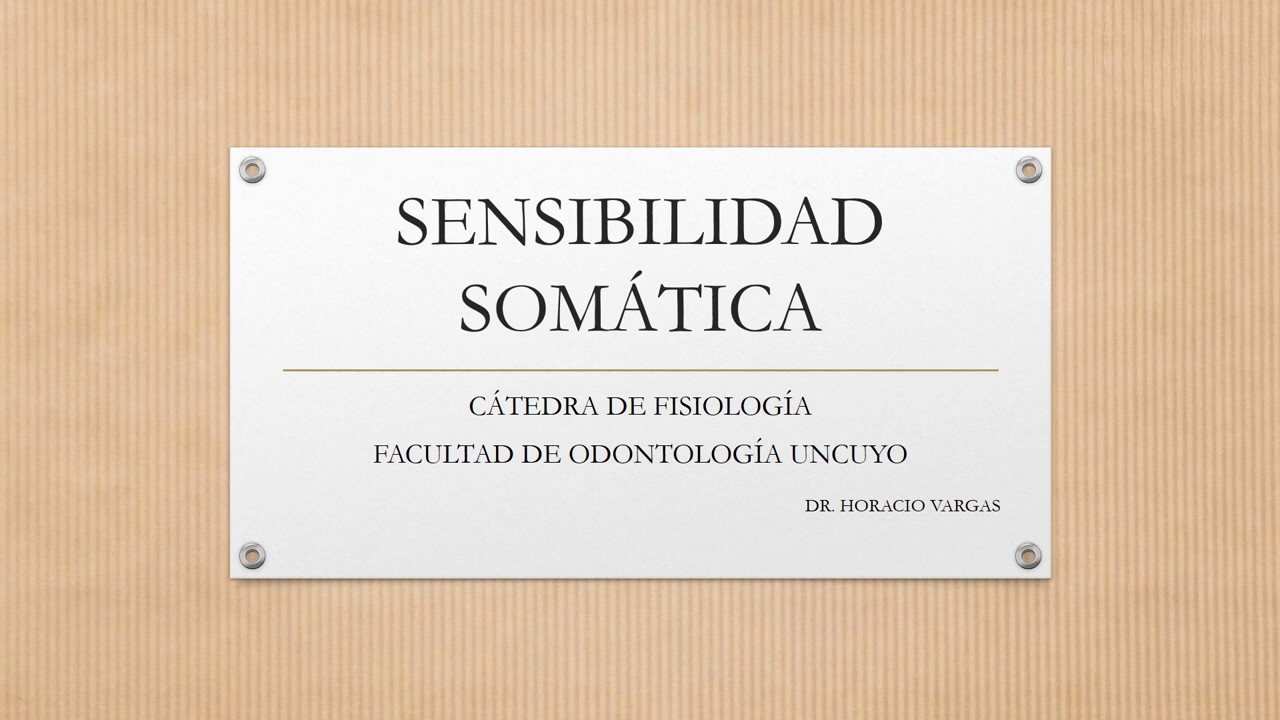 SENSIBILIDAD SOMÁTICA definitivo