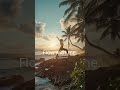 Find your inner peace at the ocean 🌊🌊🌞 #yogamusic #relaxingmusic #meditationmusic