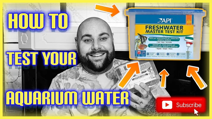 How To Check Your Aquarium Water With The API Freshwater Master Test Kit