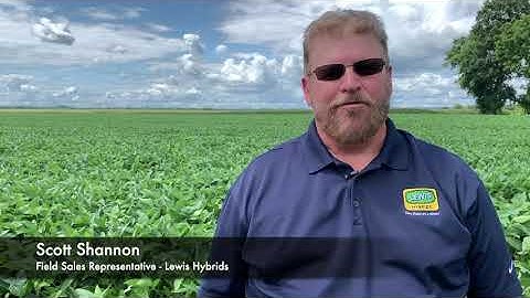Overview of XtendFlex Soybeans with Scott Shannon, Lewis Hybrids FSR