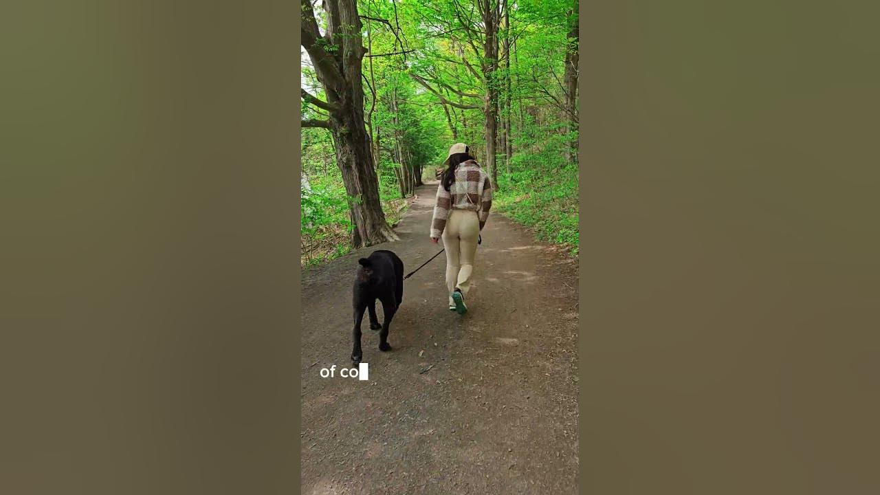 BEST Natural TICK Remedy for Dog's & Humans YouTube