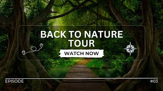 Immerse Yourself in Nature: A Blissful 1-Hour Escape with Emojis 🌿🌼🦋 @SereneSymphonyHub