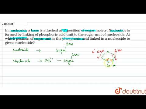 Video: Když je nukleosid připojen k fosfátu, nazývá se a?