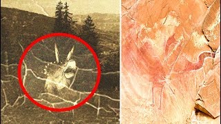 5 Alleged Prehistoric Animals & Dinosaurs Caught On Camera 5 Alleged Prehistoric Animals & Dinosaurs Caught On Camera