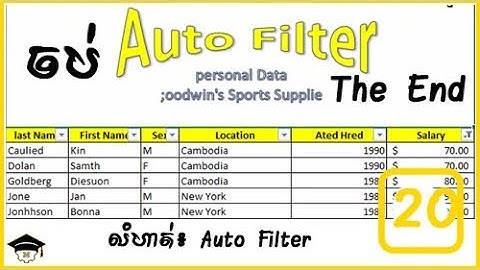 Microsoft Office Excel | Auto Filter | The End #20