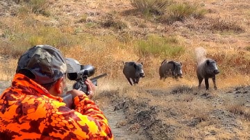 MONSTER BOAR INVASION: Incredible Shots & The Most Exciting Hunts!