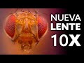 Poniendo A PRUEBA mi nueva LENTE 10X - 🦟MACRO EXTREMO🐞