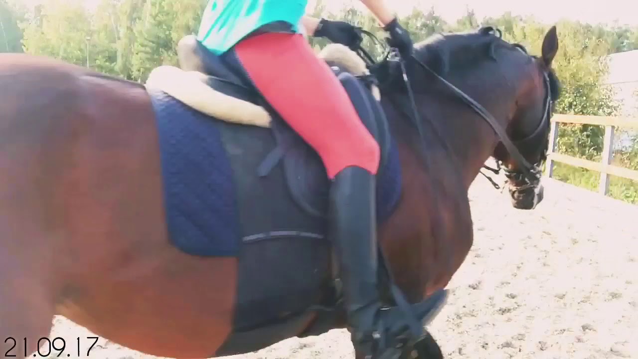 ~VLOG~тренировка/выездка/конный спорт/ КСК Престиж - YouTube