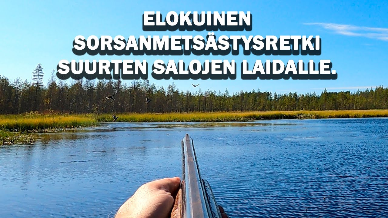 Kanoottiretki sorsapuroille.
