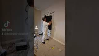 YesColours Vinyl Matt Emulsion in Action 🎬