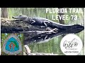 Florida trail hiking: Featuring gators and snakes! #floridatrail #florida #gators #wildlife