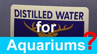 Is Distilled Water Safe for Aquariums Can You Put Distilled Water In Fish Tank