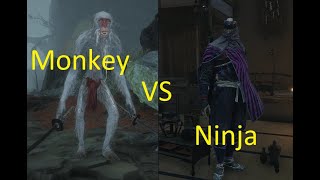 White Monkey Dual Katana vs Lone Shadow Ninja - Sekiro enemy battle screenshot 3