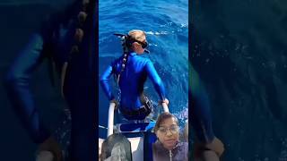 #shark #scubadiving #diving #ocean #trending #viral #viralshorts #carefull #curiosity