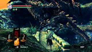 Dark Souls - Prepare to Die Edition - New Content Playthrough - Royal Wood (part 1)