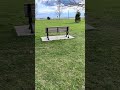 I love this idea: in loving memory of oksana guchok. And a tree next to bench). Better than cemetery