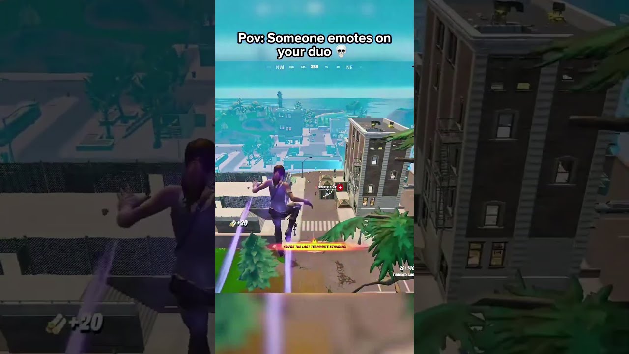 Pov Someone Emotes On Your Teammate