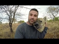 The Lost Footage | The Lion Whisperer