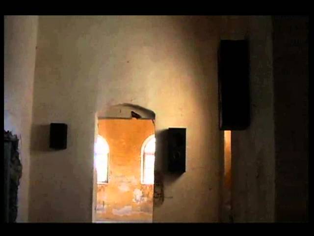 Sinopale 1