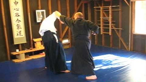 How to do Ikkyo, Ikkyo overview