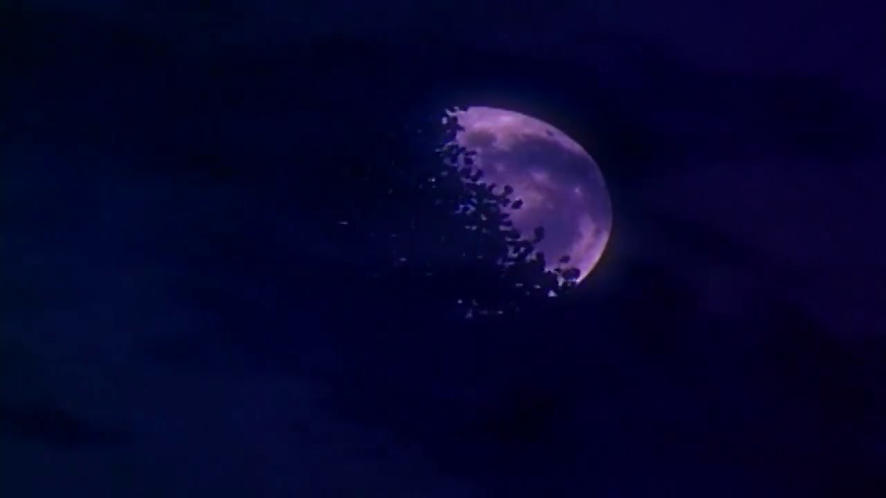 Bats Trailer (1999) YouTube