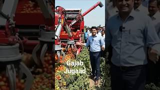 Tomato cutting machine LiveDesiEntertainment